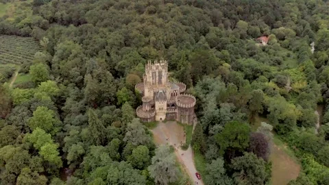 Drone castle forest green field from top sunny Stock Footage 221571499
