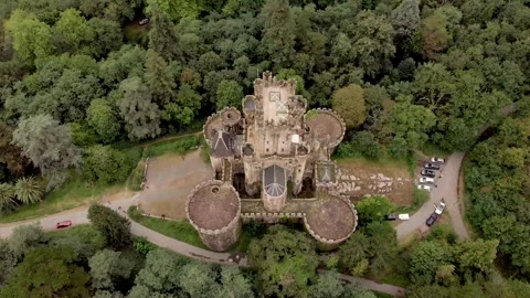 Drone castle forest green field from top sunny Stock Footage 221571533