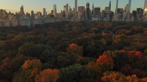 Drone Central Park in fall, Manhattan, New York City, 4k Aerial, 11/3/2023 Vídeos de archivo 296411038