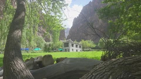 Drone Charge-In Through Forest Trees Leading to Green Field with Ladakh Stock-Footage 334416330