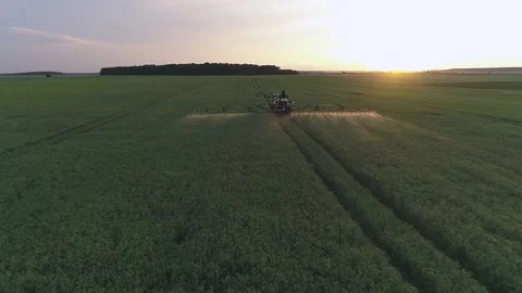 Drone chasing tractor spraying green field in the evening Stock Footage 133999132