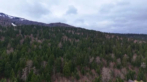 Drone Cinematic Mountain Forest Stock-Footage 260073892