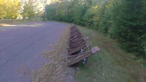 Drone Cinematic Shot of Row of Maple Trees Then Past Picnic Tables Video stock 216157331
