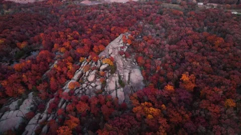 Drone Circle Around Fantasy Red Tree Rocky Mountain Landscape Location Stock Footage 256172372