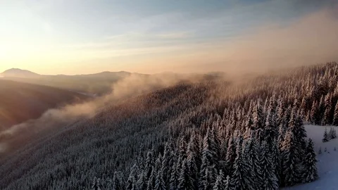 Drone circle around snow covered frozen pine forest Stock Footage