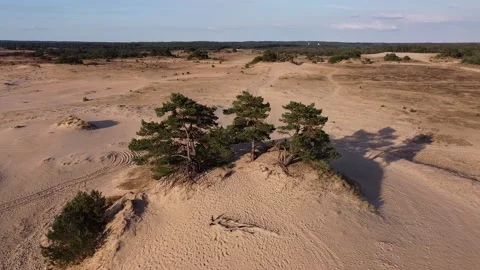 Drone circle over a sand dunes reserve with hills and trees with long shadows Video stock 137155967