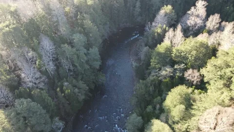 Drone in circle river Stock Footage 159080060
