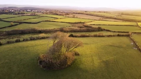 Drone circling around trees over farmlands in Wales Stock Footage 73559886