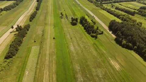 Drone circling over striped fields in summer Stock Footage 317833791