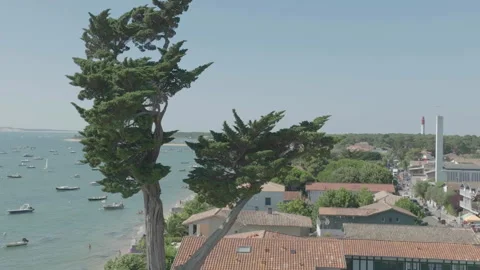 Drone circling tree with Cap Ferret port background, France Stockbeeldmateriaal 333107871