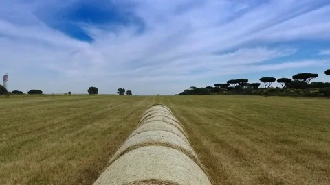 Drone on circular hay bales Stock Footage 82346050