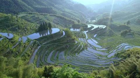 Drone Circular Top Down View Over Yunhe Rice Terraces Pattern Stock Footage 331407292