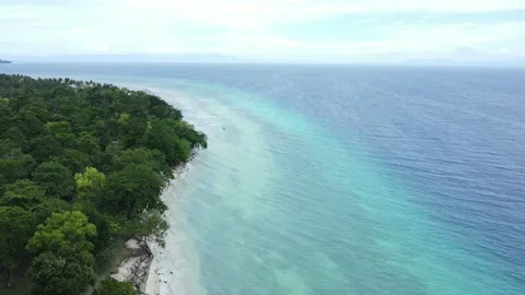 Drone clear beach with trees and white sand in ambon Stock Footage 213930583