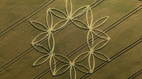 Drone Clip of Crop Circle, Scratchbury Hill Fort, 7th July 2023, 4K Stock Footage 265589042