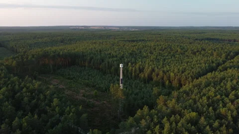 Drone clip of fire tower in the middle of the forest Video stock 170333065