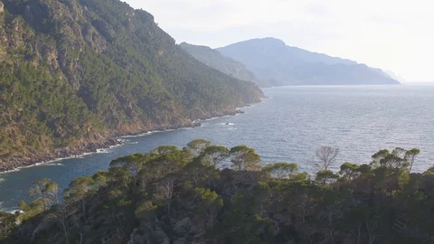 Drone clip moving sideways with trees in foreground and ocean Stock Footage 101717067