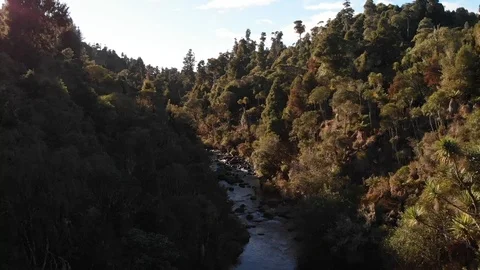 DRONE Clip of NZ River and Native Bush 2 Stock Footage