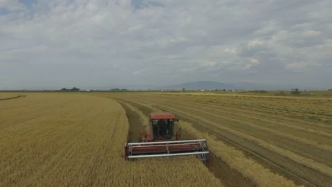 Drone clip of working tractor combine harvester Video stock 96447222