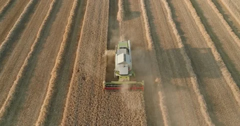 Drone Close Up of Combine Harvester Reaping Wheat with Grain Dust in Harvest Stock Footage 340885571