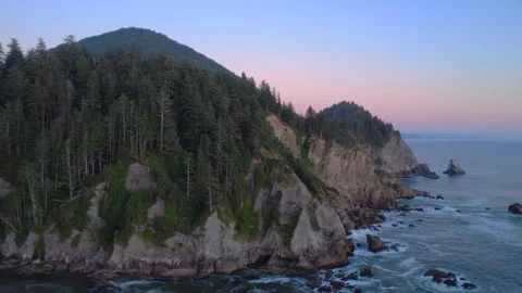 Drone of Coastal Cliffs with Pine Trees at Sunset, Pacific Northwest Stock Footage 341366588