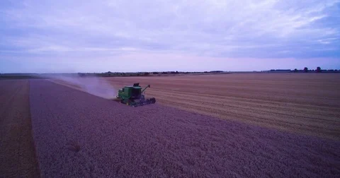 Drone combine Wheat Stock Footage 83359339