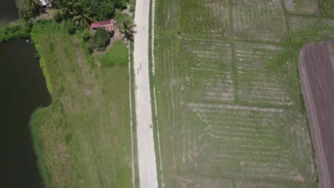 Drone of a constructed road on the edge of the mountain Stock Footage 293897672