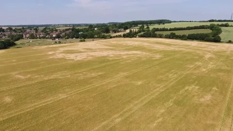 Drone Corn Field In St Albans, Hertfordshire Vídeos de archivo 145985532