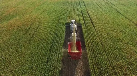 Drone of corn harvester Stock Footage