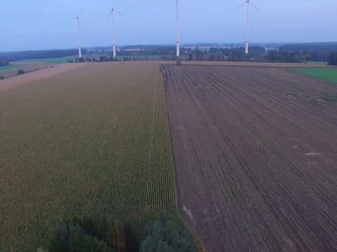 Drone Of Corn Harvester 動画素材 81253457