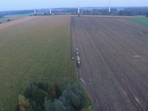 Drone Of Corn Harvester 動画素材 81254735