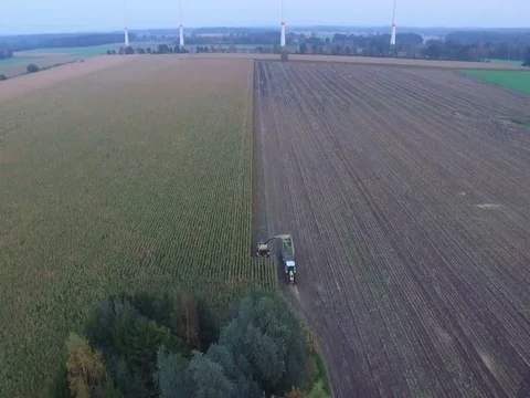 Drone Of Corn Harvester 動画素材 81254896