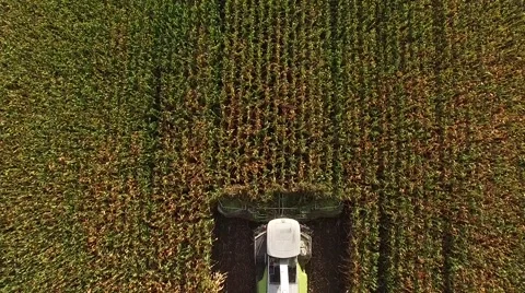 Drone of corn harvester though middle of corn field Shot by FAA certified drone  Stock Footage