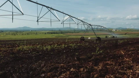 DRONE, CORN PIVOT IRRIGATION SYSTEM, ANGOLA Stock Footage 306696352