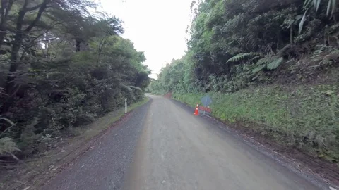 Drone Crash in Forest Stock Footage 76893539