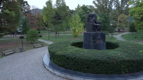 Drone crash in tree - DJI Mini 2 Video stock 176372530