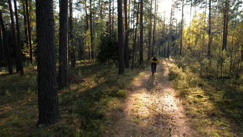Drone crashed at work ActiveTrack following drone For bicycle in forest Stock Footage 167034774