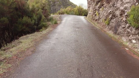 The drone crashes into a tree. Stock Footage 120741888