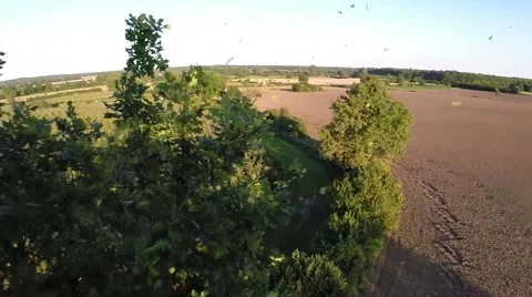 Drone crashing into a tree Stock Footage 45987068