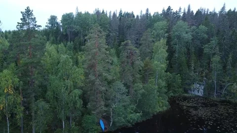 Drone crashing into a tree top. Video stock 142530313