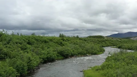 Drone of Creek in Alaska 動画素材 237567282