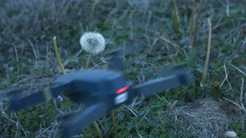 Drone Cutting Dandelion Down with Propellers BMPC4K Stock Footage 234840063