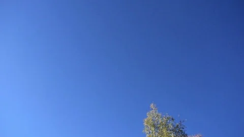 Drone decreasing inside the frame and flying, infront of a autumn color lands Video stock 84506721