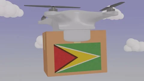 Drone Delivering a Package With the Flag of  - Guyana Stock Footage 234031981