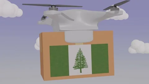 Drone delivering a package with the flag of  - Norfolk Island Stock Footage 233910497
