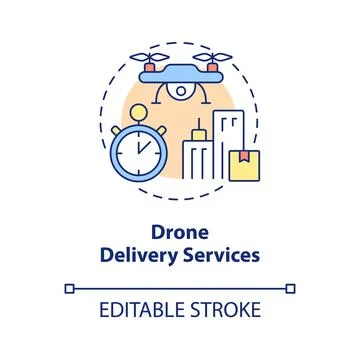 Drone delivery services concept icon Stockillustratie