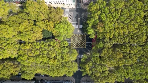Drone descending above a busy intersection on Avenida da Liberdade, Lisbon Stock Footage 347689193