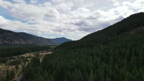 Drone Descending From Above Trees Stock Footage 145909913