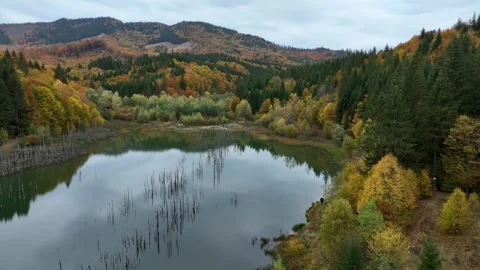 Drone Descending Between Trees at Cuejdel Lake. Slow Motion Vidéo 289301976