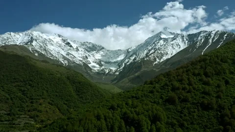 Drone Descending On Dense Thicket With Snow-capped Mountains Stock Footage 232475986