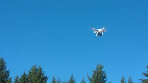 Drone Descending in Front of Trees Stock Footage 91878815